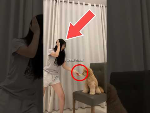 Dog Gets Pranked by Mom! 😂🐶