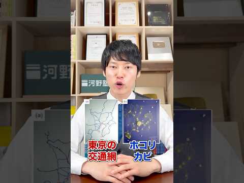 カビが効率化のカギ!?