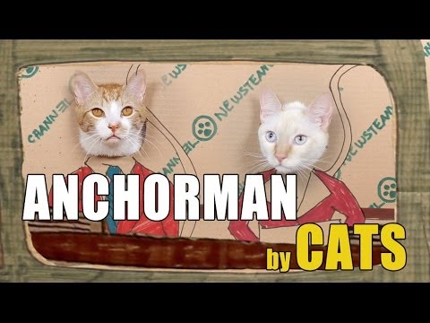 Anchorman Remade by Cats - UCPIvT-zcQl2H0vabdXJGcpg