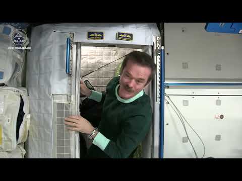 How Do You Sleep In Space? | Video - UCVTomc35agH1SM6kCKzwW_g