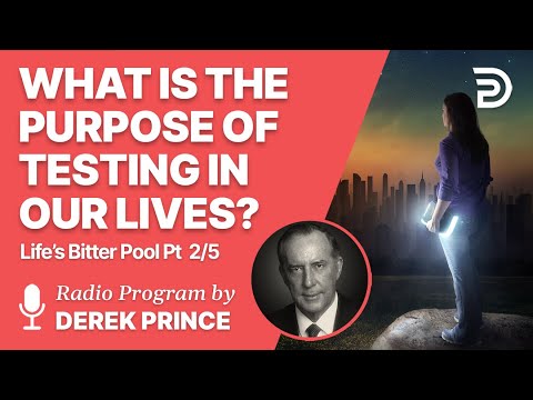 Lifes Bitter Pool 2 of 5 - The Purpose of Testing