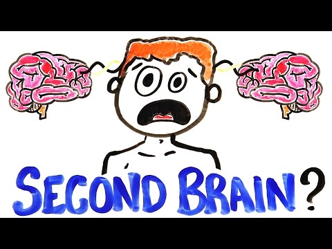 What If You Had A Second Brain? - UCC552Sd-3nyi_tk2BudLUzA