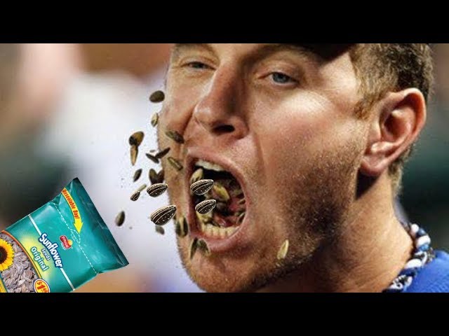 Why Baseball Players Eat Sunflower Seeds?
