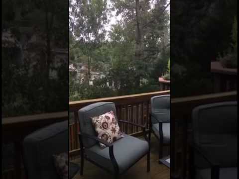 هبه حريري | التشوهات الفكرية ( أخذ الأمور على الاعتبار الشخصي ،، يجب !! )