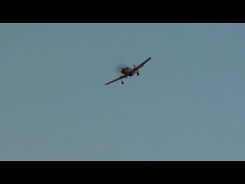 RedCat P-51 Attacking Peaceful Birds - UCsFctXdFnbeoKpLefdEloEQ