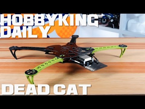 Dead Cat - HobbyKing Daily - UCkNMDHVq-_6aJEh2uRBbRmw