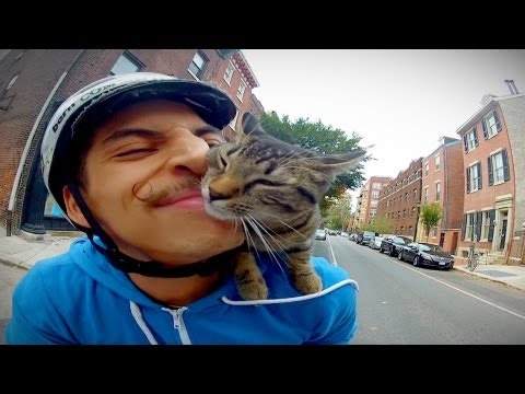 GoPro: Cat Bike Guy - Philadelphia, PA - UCqhnX4jA0A5paNd1v-zEysw