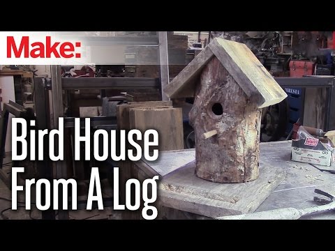 DiResta: Log Bird House - UChtY6O8Ahw2cz05PS2GhUbg