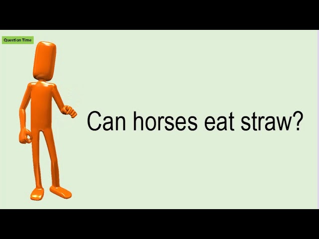 Can Horses Eat Straw? - HayFarmGuy