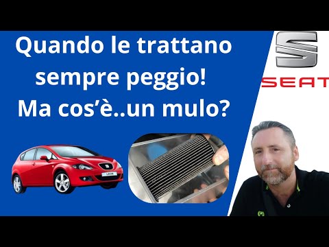 Nella Seat Leon del 2019, come si resetta la spia del Service?
