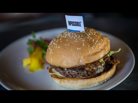 Adam Savage Cooks the Impossible Burger with Traci Des Jardins! - UCiDJtJKMICpb9B1qf7qjEOA