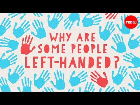 Why are some people left-handed? - Daniel M. Abrams - UCsooa4yRKGN_zEE8iknghZA