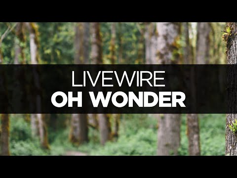 [LYRICS] Oh Wonder - Livewire - UCeDJfznswcEYJPGcvPWXlig