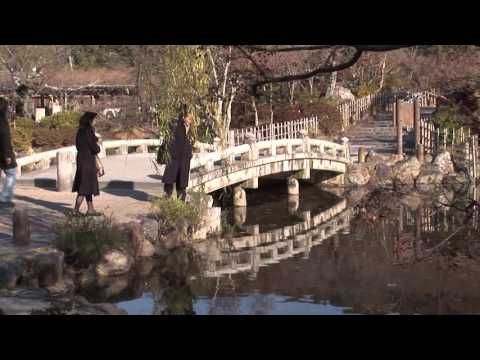 Maruyama Park, Kyoto, Japan travel video - UCvW8JzztV3k3W8tohjSNRlw