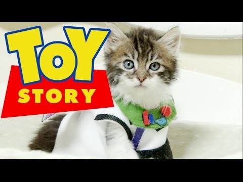 Disney Pixar's Toy Story (Cute Kitten Version) - UCPIvT-zcQl2H0vabdXJGcpg