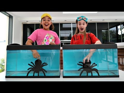 WHAT'S IN THE BOX CHALLENGE - UNDERWATER | Toys AndMe - UC6sSkkemzPjmrzS0Y0V_2zw