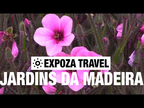 Jardins da Madeira (Portugal) Vacation Travel Video Guide - UC3o_gaqvLoPSRVMc2GmkDrg