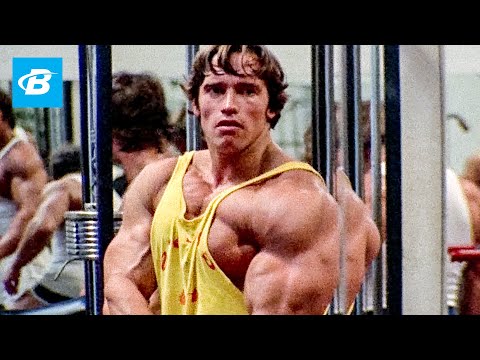 Best Bodybuilder of All Time | Arnold Schwarzenegger's Blueprint Training Program - UC97k3hlbE-1rVN8y56zyEEA