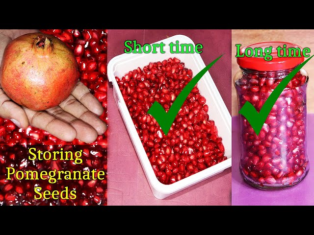 How to Preserve Pomegranate Seeds