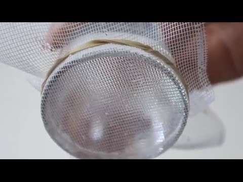 Mysterious Water Suspension - Cool Science Experiment - UCe_vXdMrHHseZ_esYUskSBw