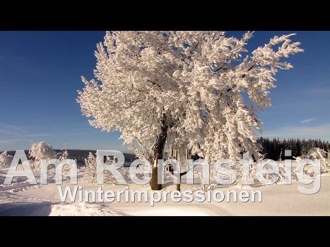 Winterimpression in Neustadt am Rennsteig // Januar 2011 - UCNWVhopT5VjgRdDspxW2IYQ