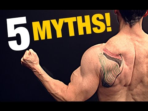 Rotator Cuff Exercises (TOP 5 MYTHS!) - UCe0TLA0EsQbE-MjuHXevj2A