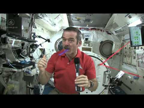 How To Brush Your Teeth In Space | Video - UCVTomc35agH1SM6kCKzwW_g