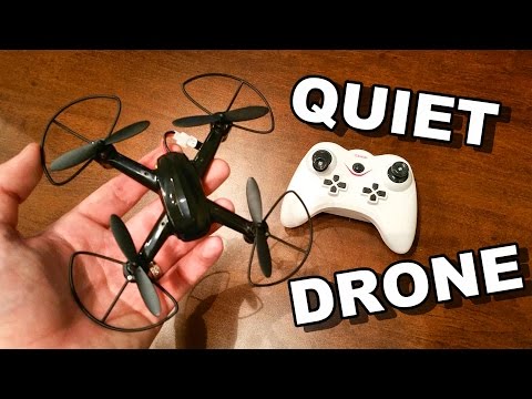 Amazingly Quiet RC Quadcopter - DM 003 Mini Speed Flight - TheRcSaylors - UCYWhRC3xtD_acDIZdr53huA