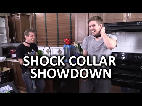 Shock Collar Showdown - CSF's Triumphant Return! - UCBZiUUYeLfS5rIj4TQvgSvA