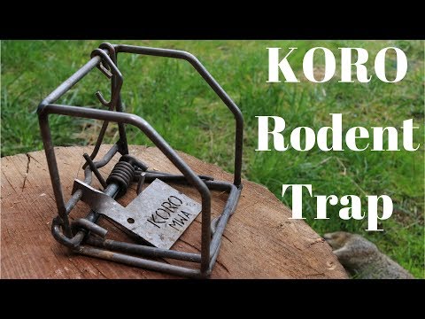 The KORO Rodent Snap Trap. Very Powerful - Ground Squirrels and a Smashed Finger - UCYbru-MPO1xjes4FVn61JUQ
