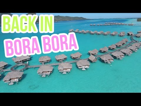 WE'RE BACK IN BORA BORA! - UCxjZe0qTFXh6jGm54LFWEDw