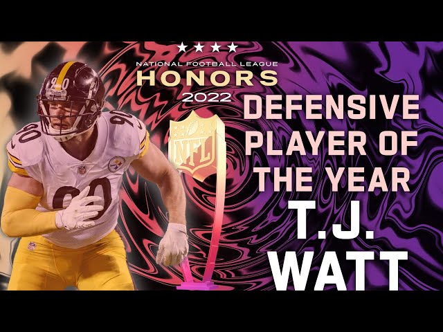 Who Won Defensive Player Of The Year Nfl 2021?