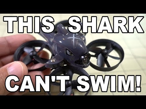 Eachine E010S PRO Brushed Whoop Review ✌️ - UCnJyFn_66GMfAbz1AW9MqbQ