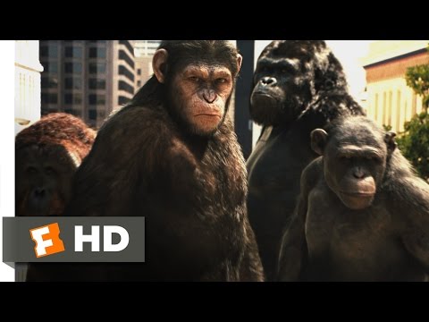 Rise of the Planet of the Apes (2011) - Attack on San Francisco Scene (3/5) | Movieclips - UC3gNmTGu-TTbFPpfSs5kNkg