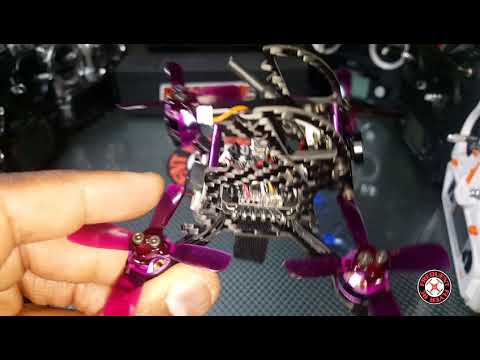 Furibee Q95 Dinosaur Quick Outdoor Test Flight LOS & FPV - UCNUx9bQyEI0k6CQpo4TaNAw