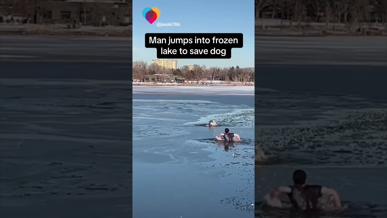 Man jumps into frozen lake to save dog #shorts