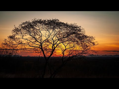 Vésperas de Quarta-feira da 33ª Semana do Tempo Comum