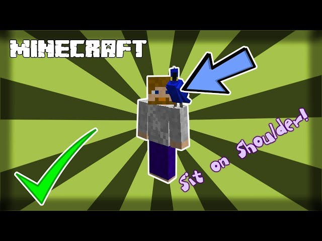 How To Tame A Parrot In Minecraft (And Get It On Your Shoulder)