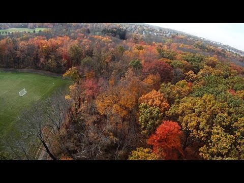 QAV250 - FPV Fall Colors & Some Crashes - UCOHuW4tgLUAqwLlRDtdcUTQ