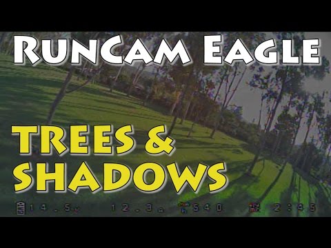 RunCam Eagle Trees and Shadows - UCnJyFn_66GMfAbz1AW9MqbQ