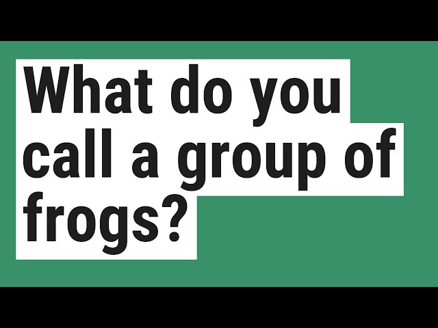 A Group Of Frogs Is Called?