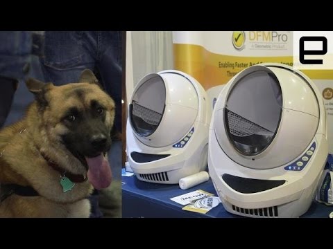 Best pet tech of CES 2016 - UC-6OW5aJYBFM33zXQlBKPNA