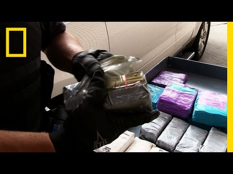 Cash Smuggling | National Geographic - UCpVm7bg6pXKo1Pr6k5kxG9A