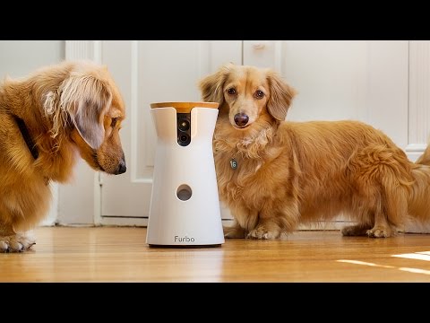 Furbo lets you toss your dog treats from afar - UCddiUEpeqJcYeBxX1IVBKvQ