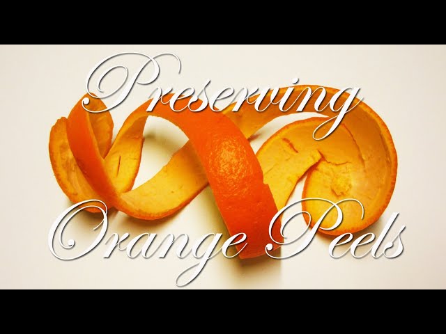 How to Preserve Orange Peel?