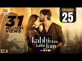 Kabhi Main Kabhi Tum Episode 25  Fahad Mustafa  Hania Aamir  1 Oct 2024  ARY Digital