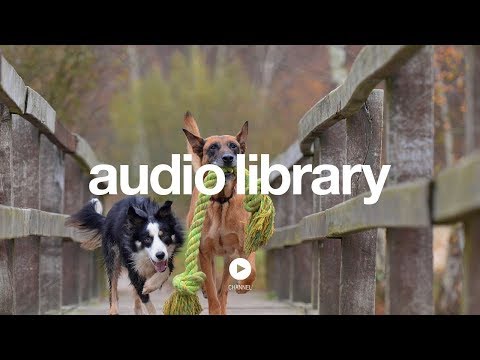 Thingamajig - Audionautix (No Copyright Music) - UCht8qITGkBvXKsR1Byln-wA