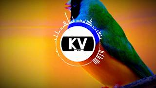 KV - Birdy (Official Audio) | Uplifting Electro House