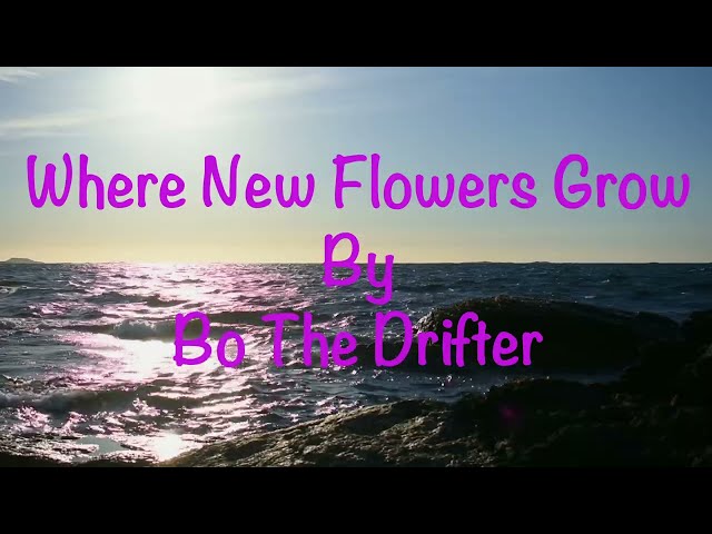 New Indie Rock Video Where Flowers Grow from Ches