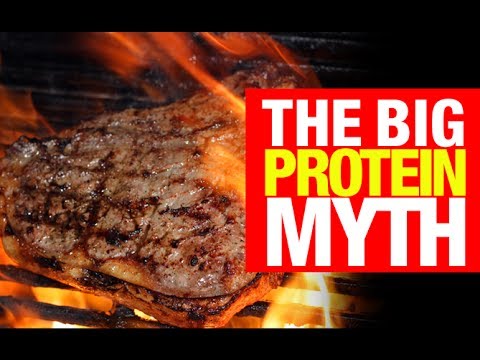 Protein Myth BUSTED!! (Cooked Protein and Shakes) - UCe0TLA0EsQbE-MjuHXevj2A